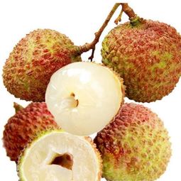 中國(guó)果品網(wǎng) 連接果品產(chǎn)業(yè)與消費(fèi)者的橋梁