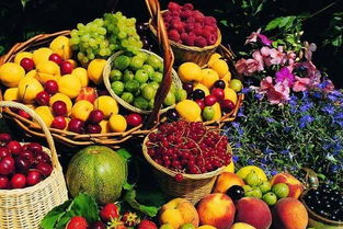 西雙版納特產之熱帶水果與蔬菜零售